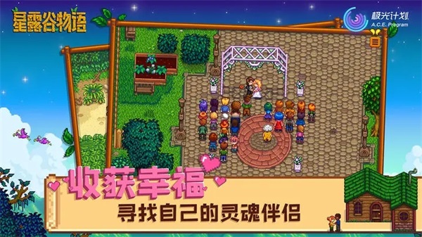 星露谷物语手机版中文版(Stardew Valley)